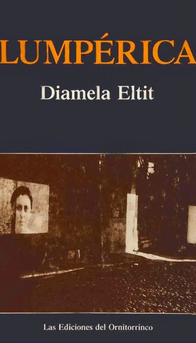 Lumpérica - Diamela Eltit